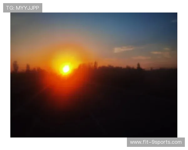 太阳强势反弹——重启自然的力量，唤醒生活的活力